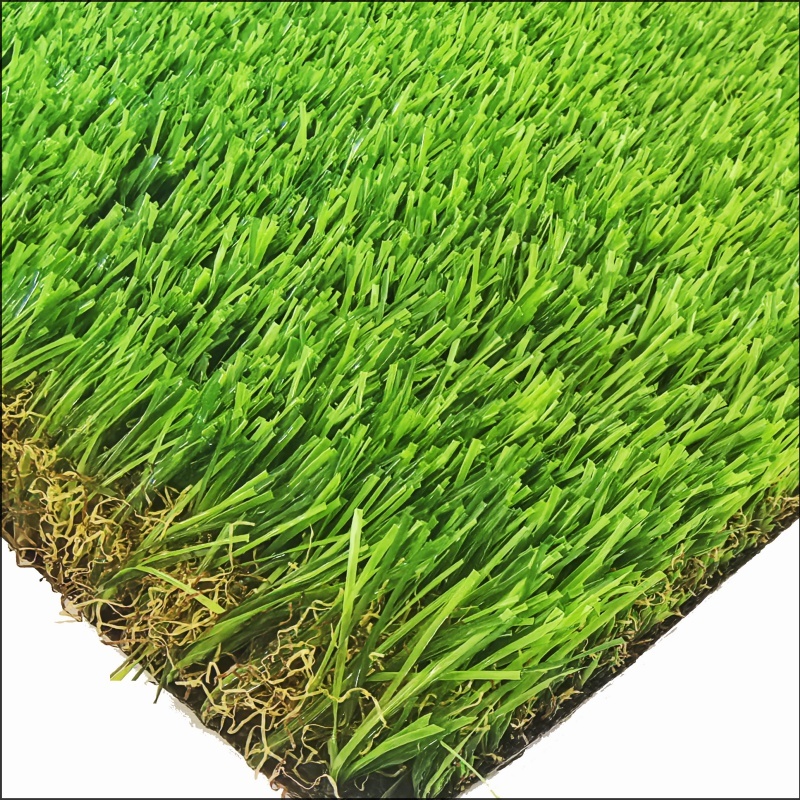 See More About Garden Grass (GG40)-gr